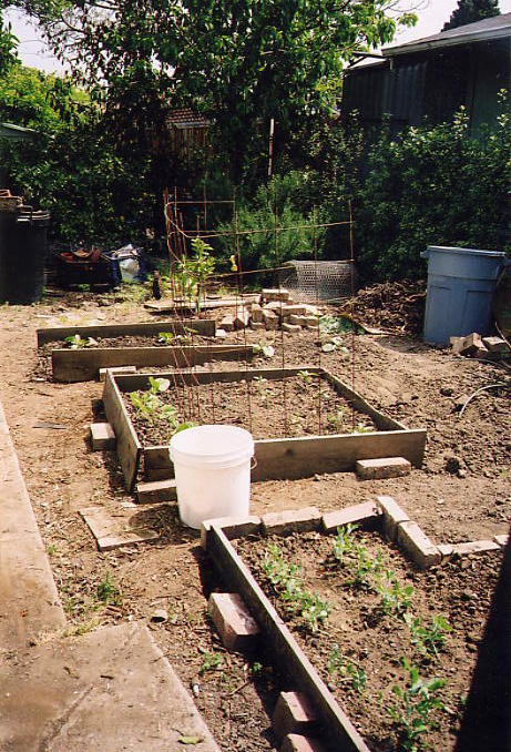 ... Little Pompeii meets Victory Garden. The brick pathway being recycled